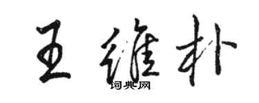 駱恆光王維朴行書個性簽名怎么寫