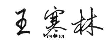 駱恆光王寒林行書個性簽名怎么寫