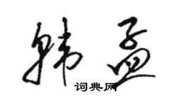 駱恆光韓孟草書個性簽名怎么寫