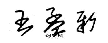 朱錫榮王孟新草書個性簽名怎么寫