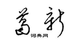 梁錦英葛新草書個性簽名怎么寫