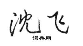 駱恆光沈飛行書個性簽名怎么寫