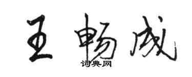 駱恆光王暢成行書個性簽名怎么寫