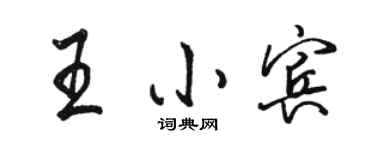 駱恆光王小賓行書個性簽名怎么寫