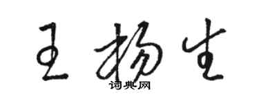 駱恆光王楊生草書個性簽名怎么寫