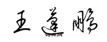 梁錦英王蓬鵬草書個性簽名怎么寫