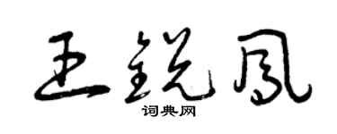 曾慶福王銳鳳草書個性簽名怎么寫
