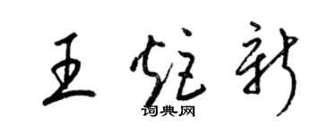 梁錦英王炬新草書個性簽名怎么寫