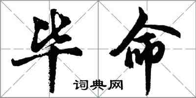 胡問遂畢命行書怎么寫