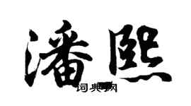 胡問遂潘熙行書個性簽名怎么寫