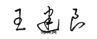 駱恆光王建良草書個性簽名怎么寫