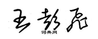 朱錫榮王彭飛草書個性簽名怎么寫