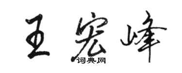 駱恆光王宏峰行書個性簽名怎么寫