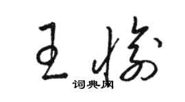 駱恆光王愉草書個性簽名怎么寫