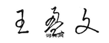 駱恆光王盈文草書個性簽名怎么寫