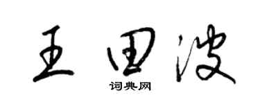 梁錦英王田波草書個性簽名怎么寫