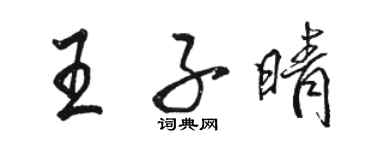 駱恆光王子晴行書個性簽名怎么寫