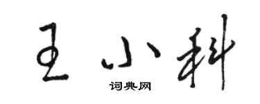 駱恆光王小科草書個性簽名怎么寫