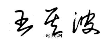 朱錫榮王其波草書個性簽名怎么寫