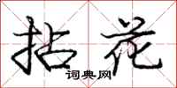 龐中華拈花行書怎么寫