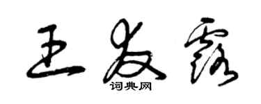 曾慶福王友露草書個性簽名怎么寫