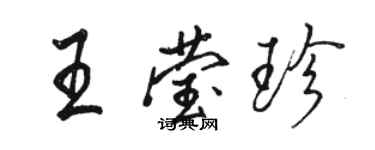 駱恆光王瑩珍行書個性簽名怎么寫