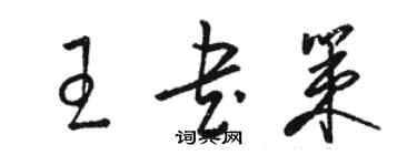 駱恆光王書策草書個性簽名怎么寫