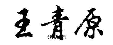 胡問遂王青原行書個性簽名怎么寫