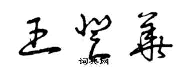 曾慶福王登華草書個性簽名怎么寫