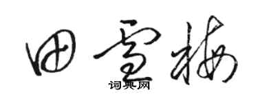 駱恆光田雪梅草書個性簽名怎么寫