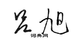 駱恆光呂旭草書個性簽名怎么寫