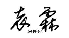 朱錫榮袁霖草書個性簽名怎么寫