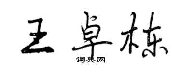 曾慶福王卓棟行書個性簽名怎么寫