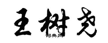 胡問遂王樹堯行書個性簽名怎么寫