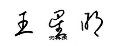 梁錦英王星明草書個性簽名怎么寫