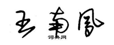 朱錫榮王南鳳草書個性簽名怎么寫