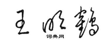 駱恆光王明鶴草書個性簽名怎么寫