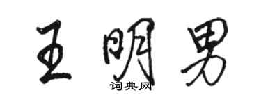 駱恆光王明男行書個性簽名怎么寫