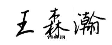王正良王森瀚行書個性簽名怎么寫