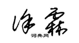 朱錫榮徐霖草書個性簽名怎么寫