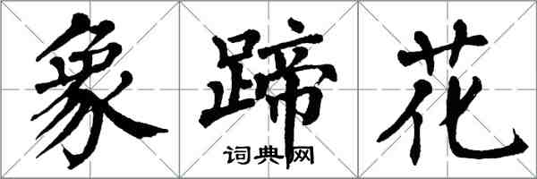 翁闓運象蹄花楷書怎么寫