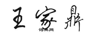 駱恆光王家鼎行書個性簽名怎么寫