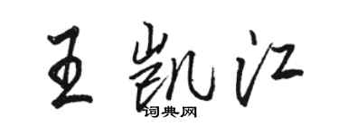 駱恆光王凱江行書個性簽名怎么寫