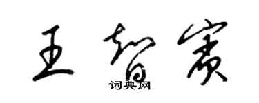 梁錦英王智賓草書個性簽名怎么寫