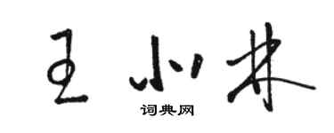 駱恆光王北林草書個性簽名怎么寫