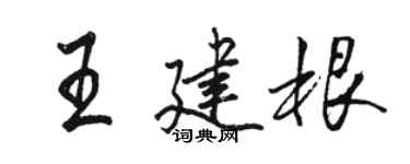 駱恆光王建根行書個性簽名怎么寫