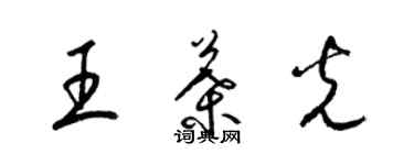 梁錦英王葉光草書個性簽名怎么寫