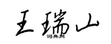 王正良王瑞山行書個性簽名怎么寫