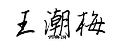 王正良王潮梅行書個性簽名怎么寫
