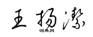 梁錦英王揚潔草書個性簽名怎么寫